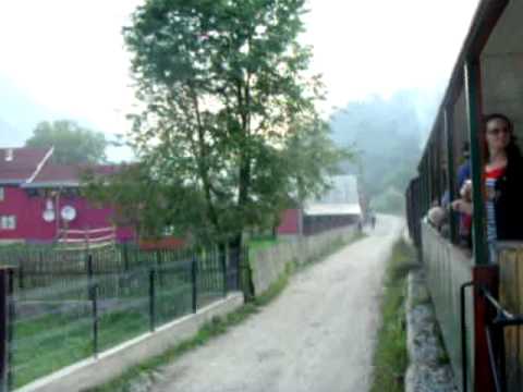 Mocanita Steam Train Guide: The Last Forest Steam Railway in the World